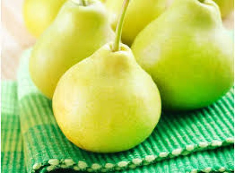 Pear