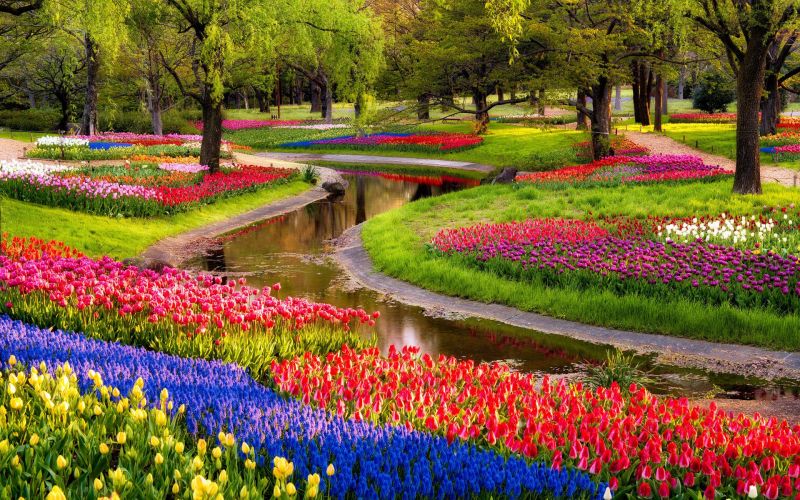 Garden Garden