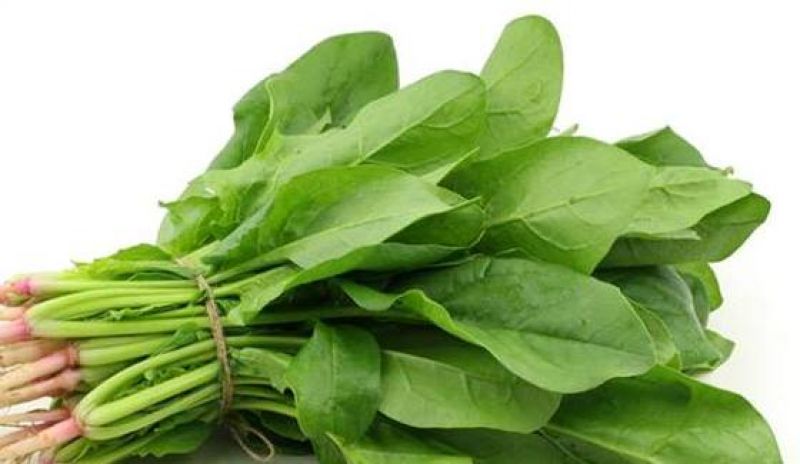 Spinach benefits
