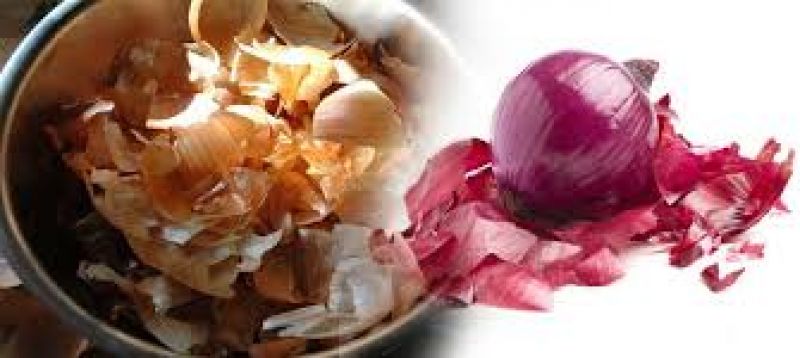 onion flask for hair growth