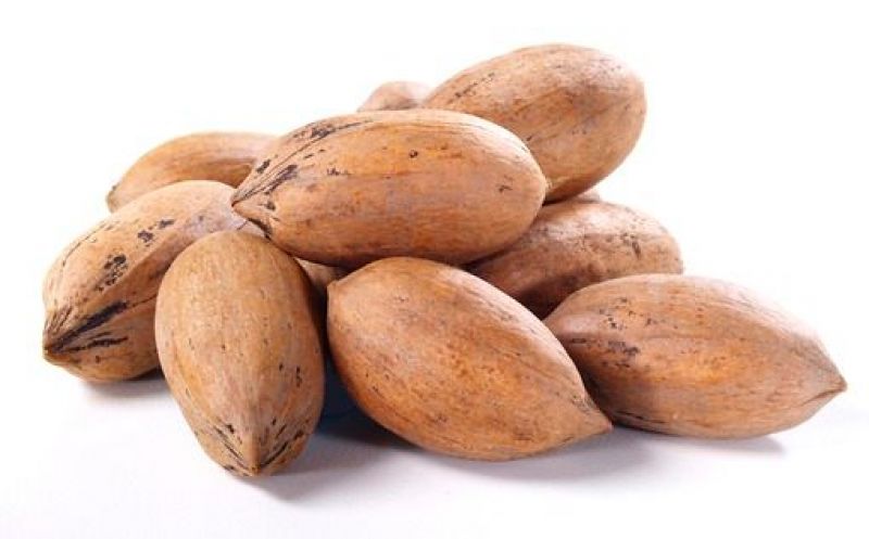 pecans 