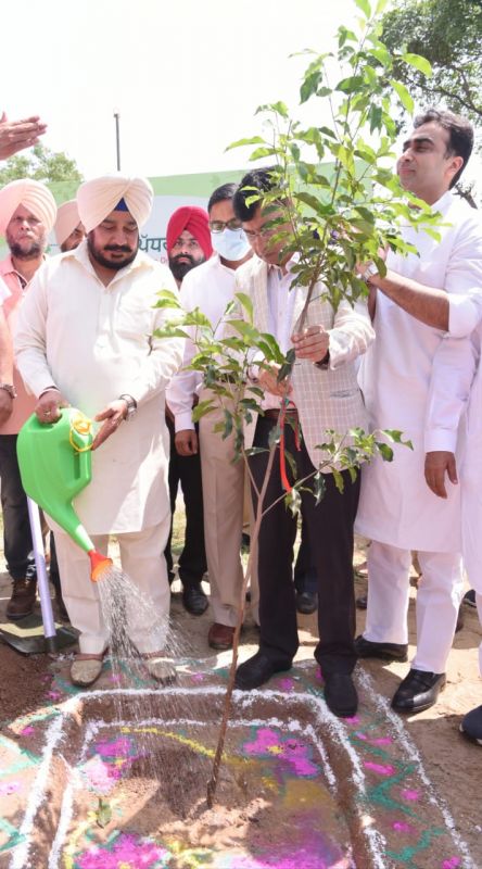 Dharamsot launches slew of projects on 71st Van Mahotsav Dharamsot launches slew of projects on 71st Van Mahotsav