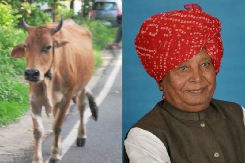 Cow attacks BJP MP Liladhar Vaghela, 2 ribs broken