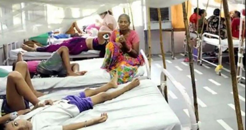 Diphtheria kills 12 children 