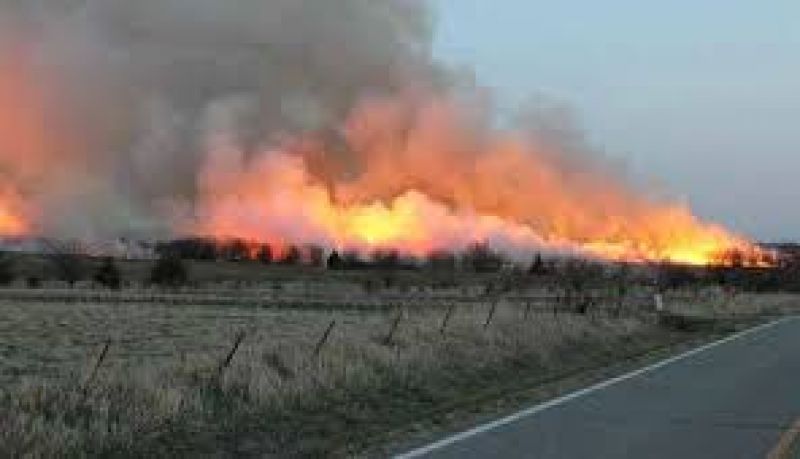  Nasa told to burn waste residues in Punjab and Haryana due to pollution