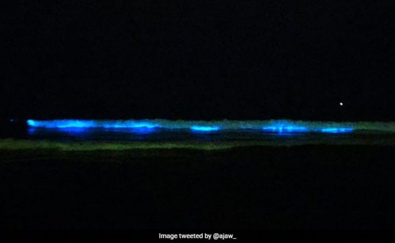 Blue waves Blue waves