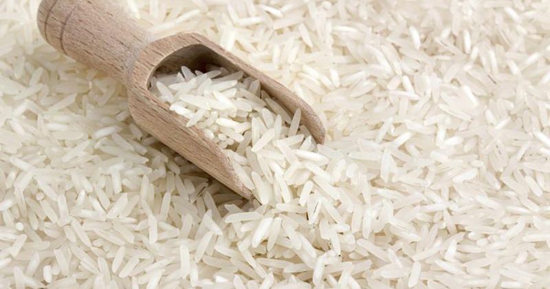 Rice