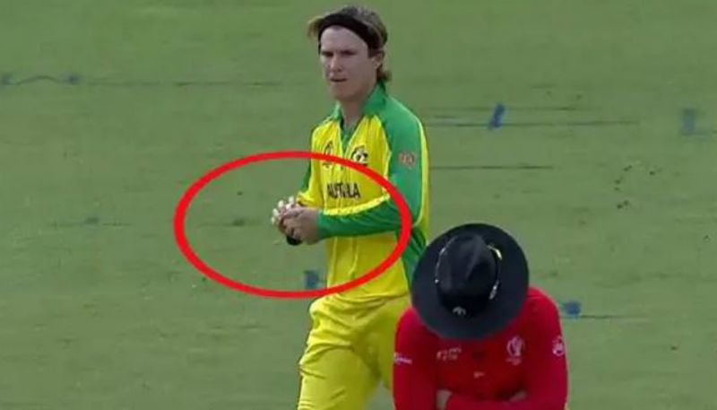 Adam Zampa had hand warmers in his pocket: Aaron Finch Adam Zampa had hand warmers in his pocket: Aaron Finch