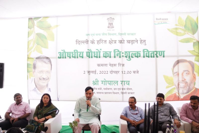 Delhi government to plant 35 lakh saplings in 2022 to tackle pollution