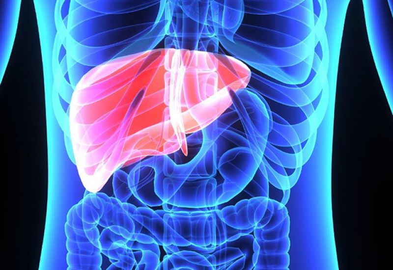 liver transplantation (LDLT)