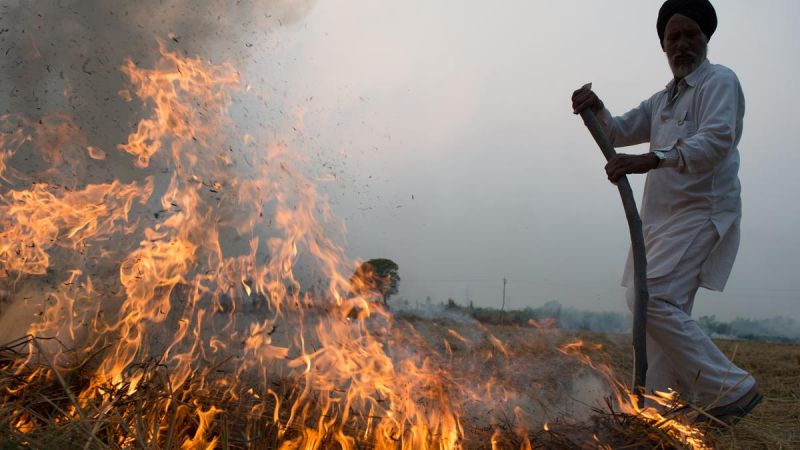 Restricting burning of crop residue