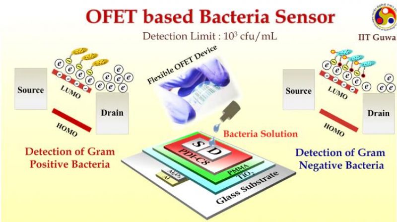 IIT Guwahati researchers develop device to detect bacteria IIT Guwahati researchers develop device to detect bacteria