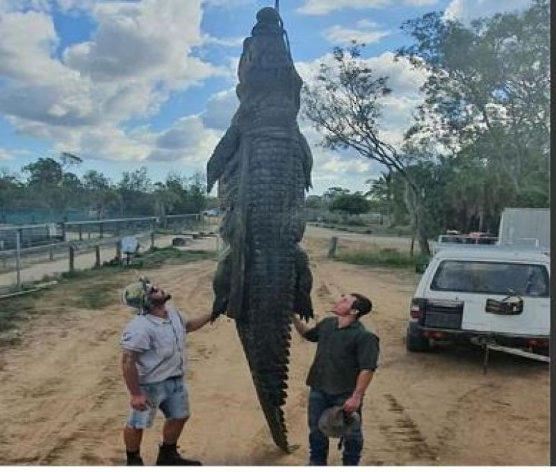 12 foot crocodile eaten to farmers