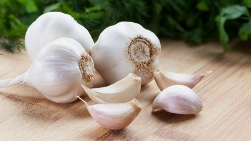 Garlic Garlic