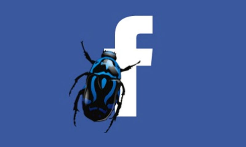 Facebook Bug