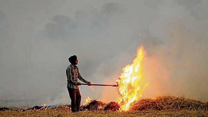 Straw burning Straw burning