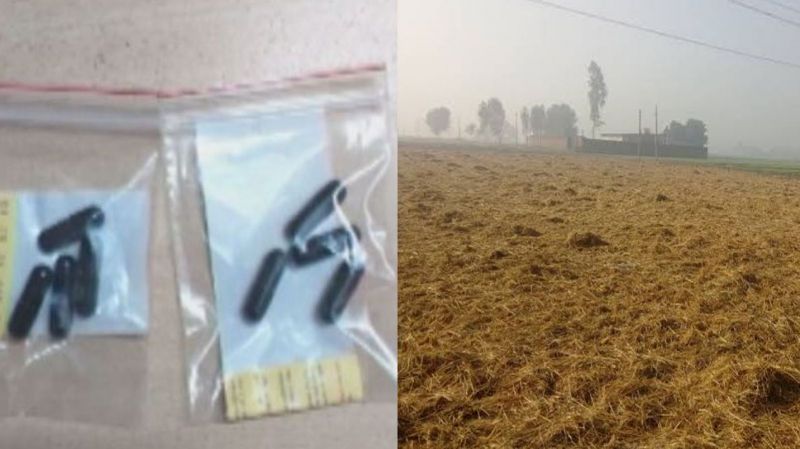 5 Rs.Capsule Will Solve Stubble Burning Problem 