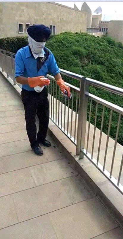 Virasat-e-Khalsa reopens to Sangat