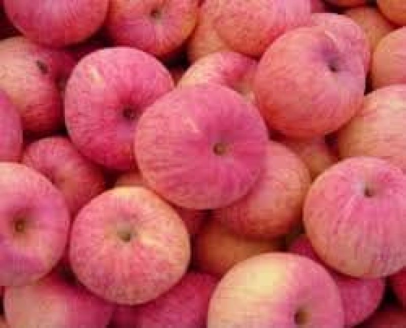 kasmiri apple