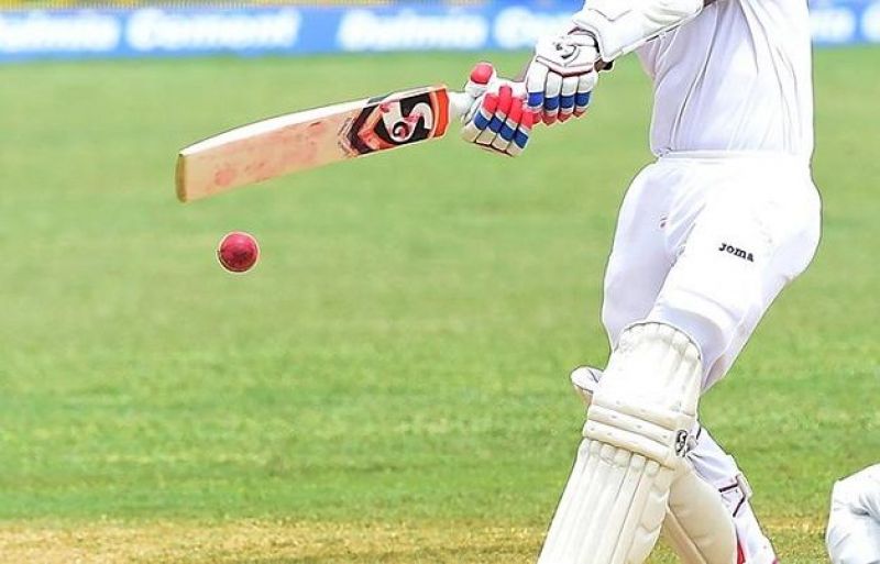 Cricket Cricket
