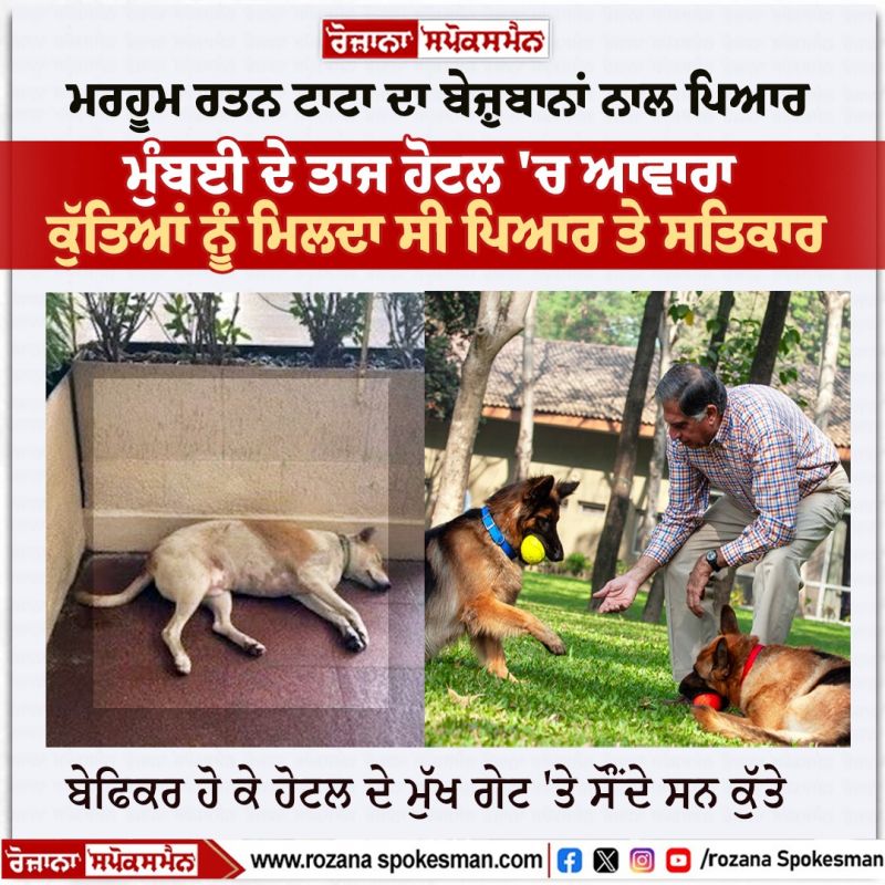 Ratan Tata dogs love News Ratan Tata dogs love News