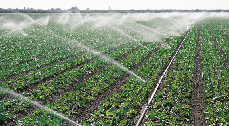 Punjab Irrigation 
