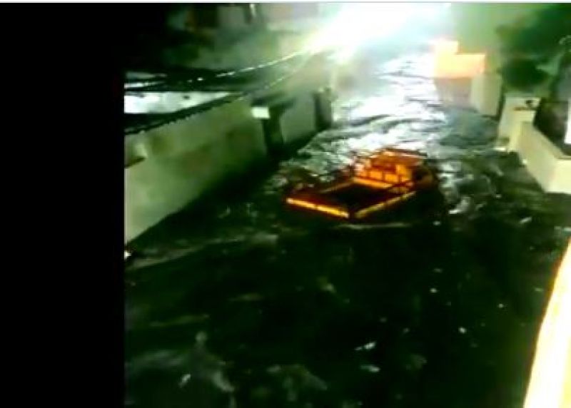 (Heavy rains in Telangana)