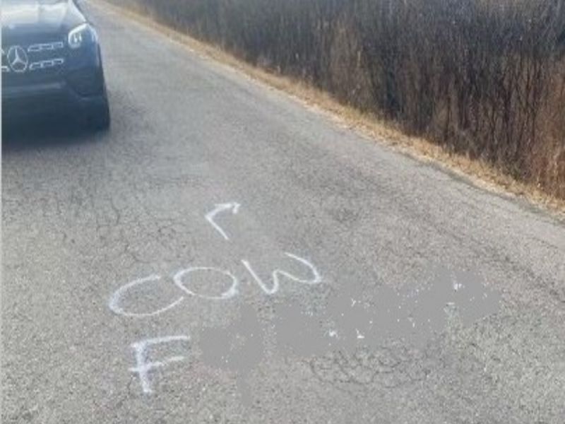  Racial insults about turbans and cows on the road to Calgary's Gurdwara Sahib