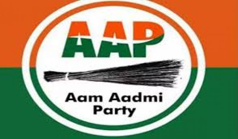 AAP Logo