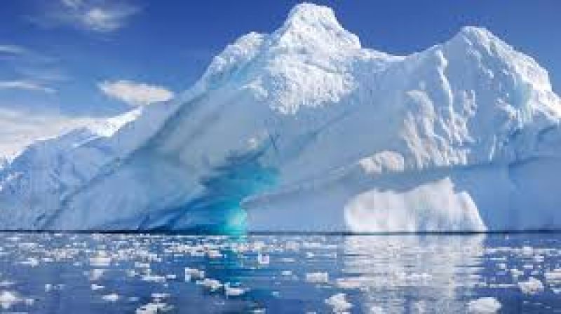 Antarctica Antarctica
