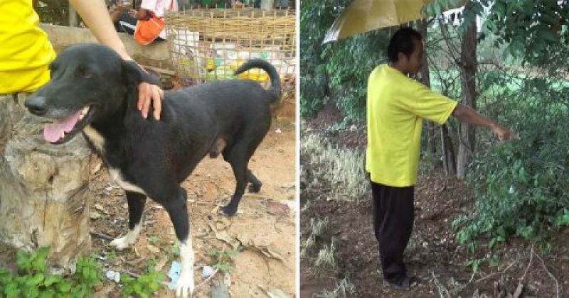 The Girl Buried Her Alive Child, Disabled Dog Save the Child