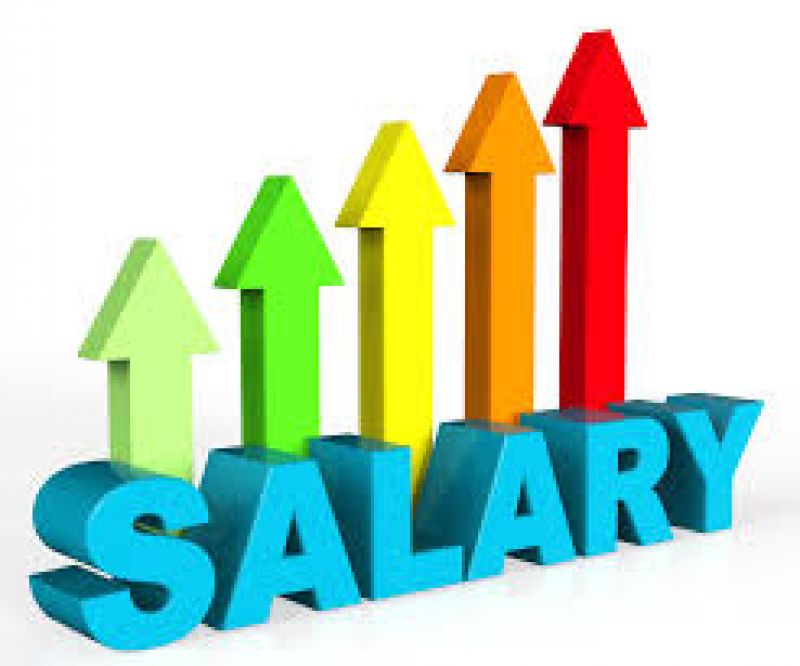The hike in salaries The hike in salaries