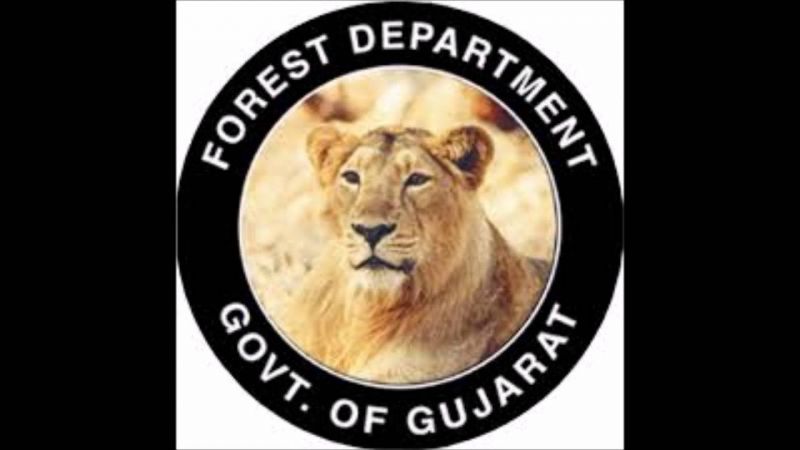 Gujarat Forest Department