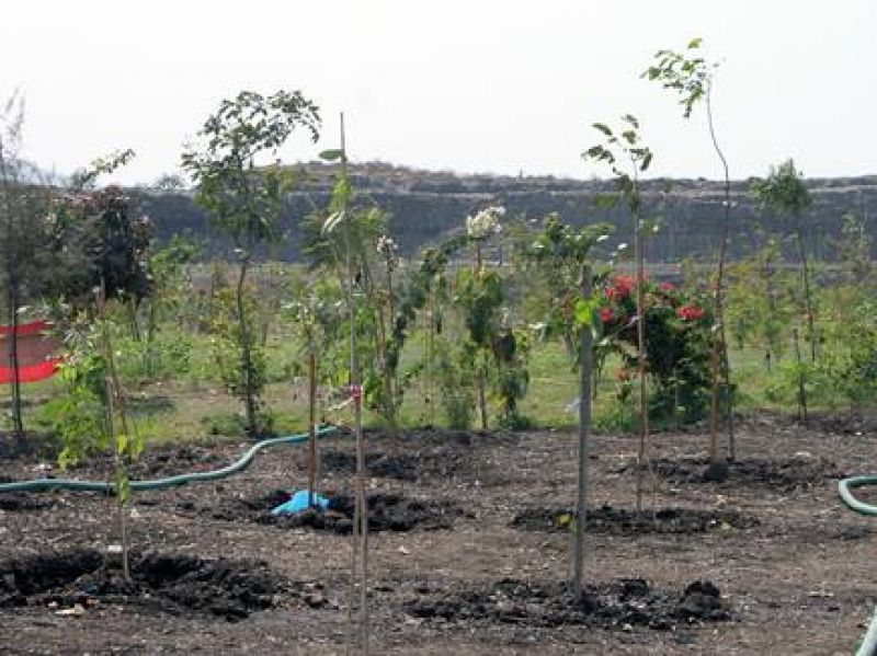 Country's first organized trenching ground