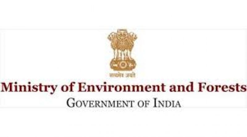Ministry of Environment and Forestry Ministry of Environment and Forestry