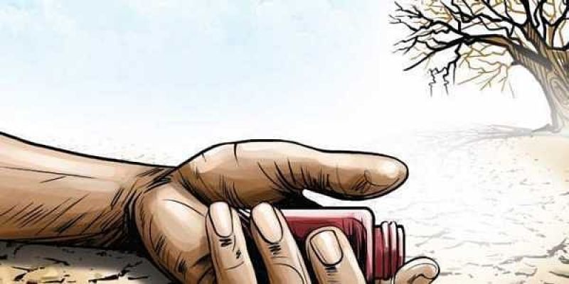 Farmer Suicide  Farmer Suicide