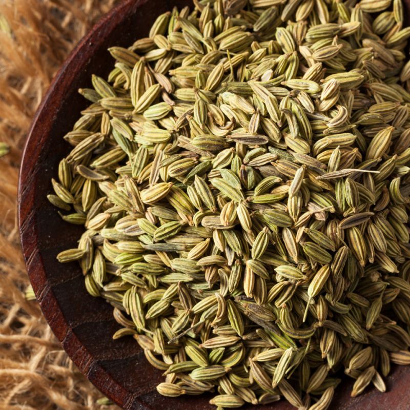 Fennel is good for health Fennel is good for health