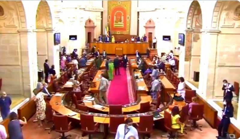 A rat in the parliament in spain