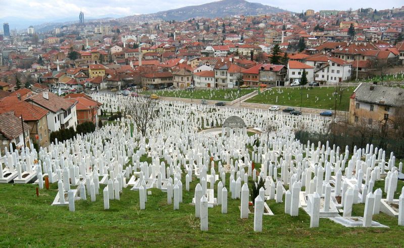 The Bosnian Genocide