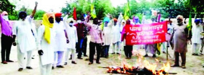 ਸਰਕਾਰ ਦੀਆਂ ਅਰਥੀਆਂ ਫੂਕਦੇ ਹੋਏ ਪੰਜਾਬ ਖੇਤ ਮਜ਼ਦੂਰ ਯੂਨੀਅਨ ਦੇ ਵਰਕਰ। ਸੰਜੂ 