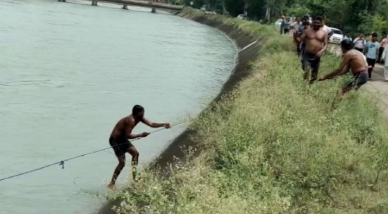 Car fell into Bhakra canal