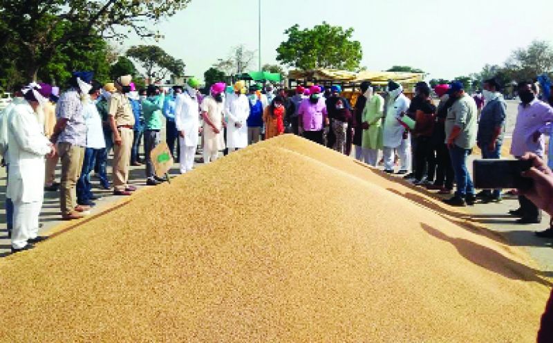 ਡਿਪਟੀ ਕਮਿਸ਼ਨਰ ਰੂਪਨਗਰ ਸੋਨਾਲੀ ਗਿਰੀ ਅਨਾਜ ਮੰਡੀ ਮੋਰਿੰਡਾ ਵਿਚ ਖ਼ਰੀਦ ਪ੍ਰਬੰਧਾਂ ਦਾ ਜਾਇਜ਼ਾ ਲੈਣ ਸਮੇਂ।