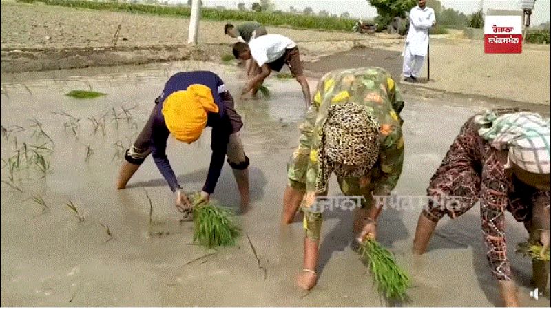 International karate players Hardeep Kaur
