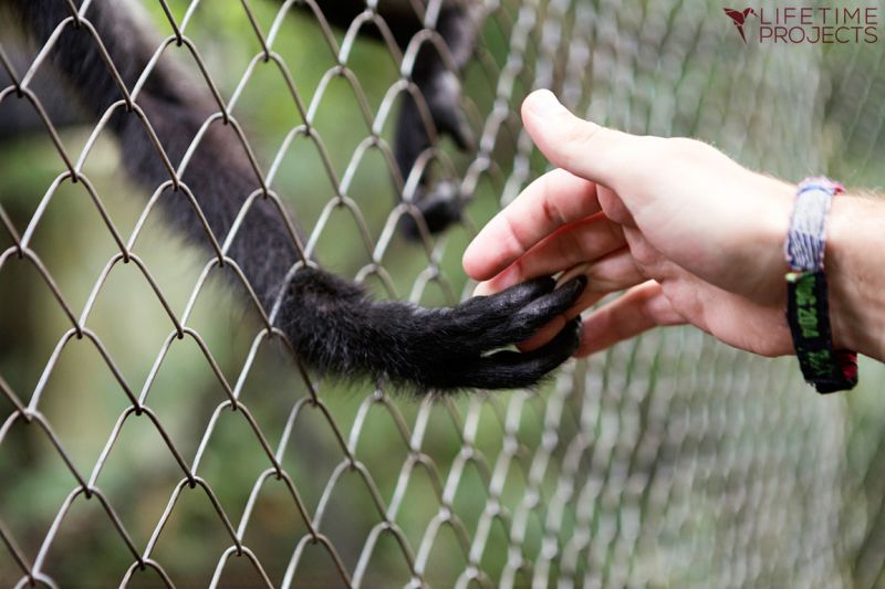 wild animal rescue centre