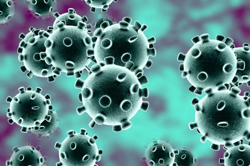 Corona Virus Corona Virus