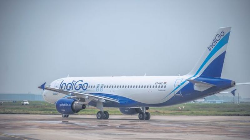 Indigo