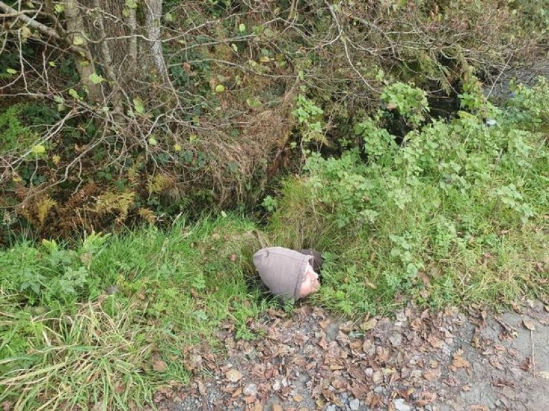 Fed-up motorist got his son to stand in pothole to show how huge it is