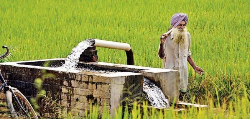 Punjab will be a desert in 20-25 years