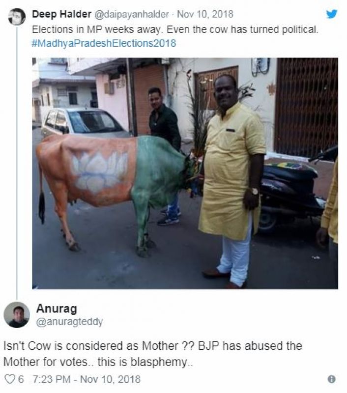 BJP flag painted on cow