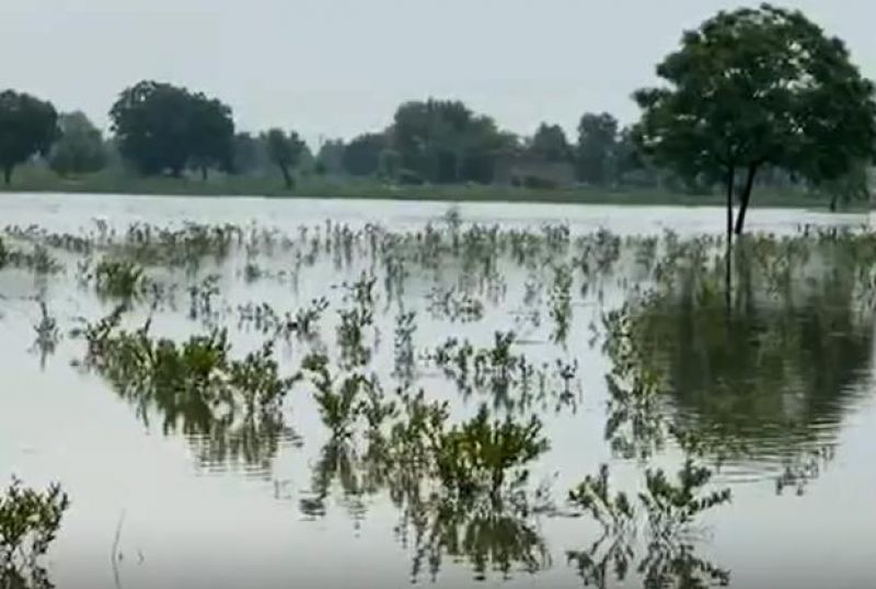 Rain water Rain water